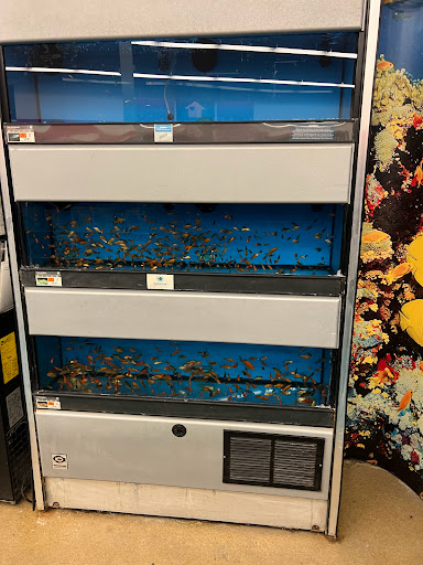 Pet Supply Store «Petco Animal Supplies», reviews and photos, 2230 Marlton Pike W #3, Cherry Hill, NJ 08002, USA