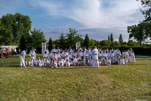 Sosnowiec Karate Club image