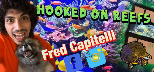 Tropical Fish Store «Hooked On Reefs», reviews and photos, 228 Hibiscus St #1, Jupiter, FL 33458, USA