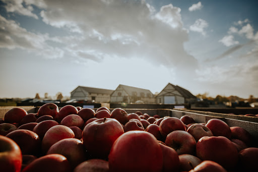 Cider Mill «Virtue Cider», reviews and photos, 2170 62nd St, Fennville, MI 49408, USA