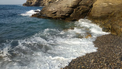 Mileopo Beach'in fotoğrafı vahşi alan