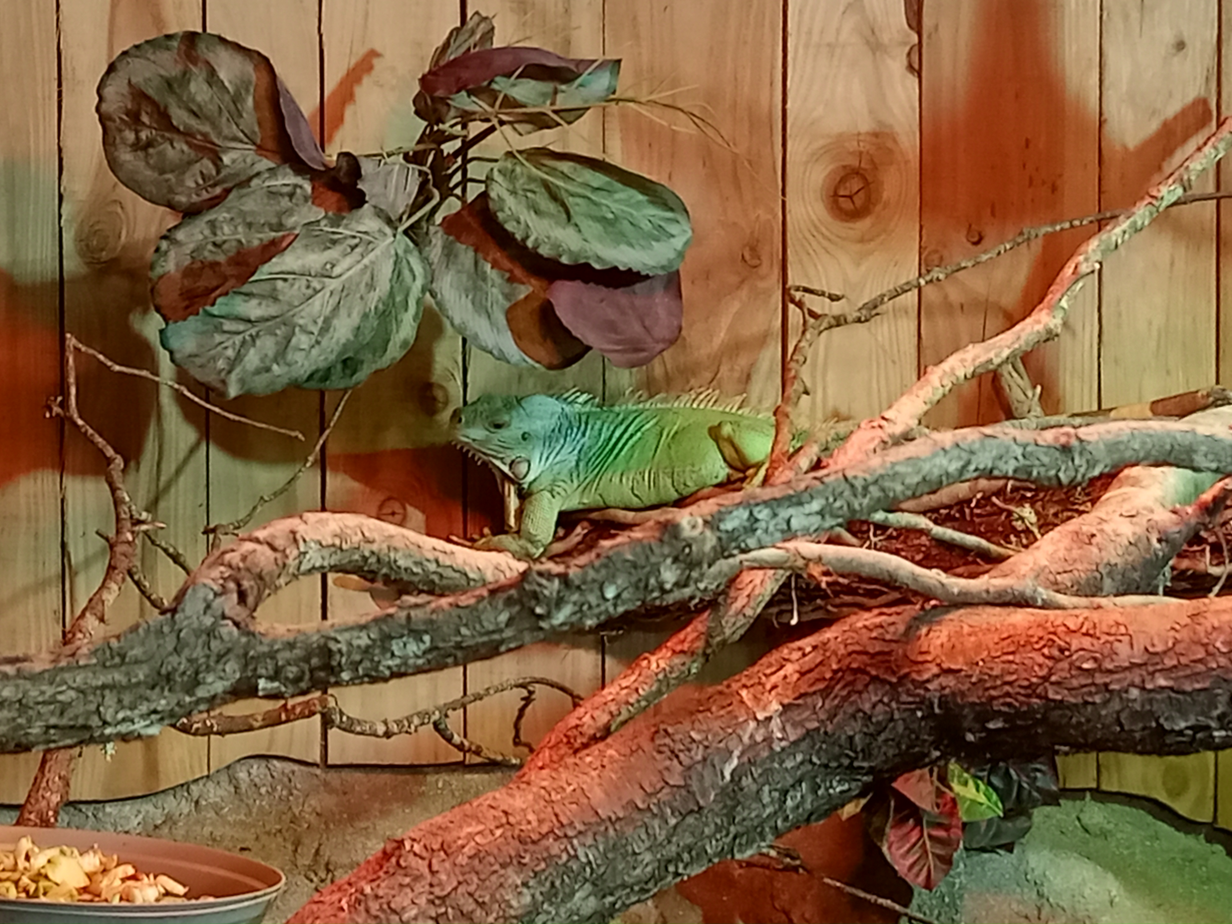 Photo n° 1 de l'avis de Céline. fait le 19/10/2022 à 19:46