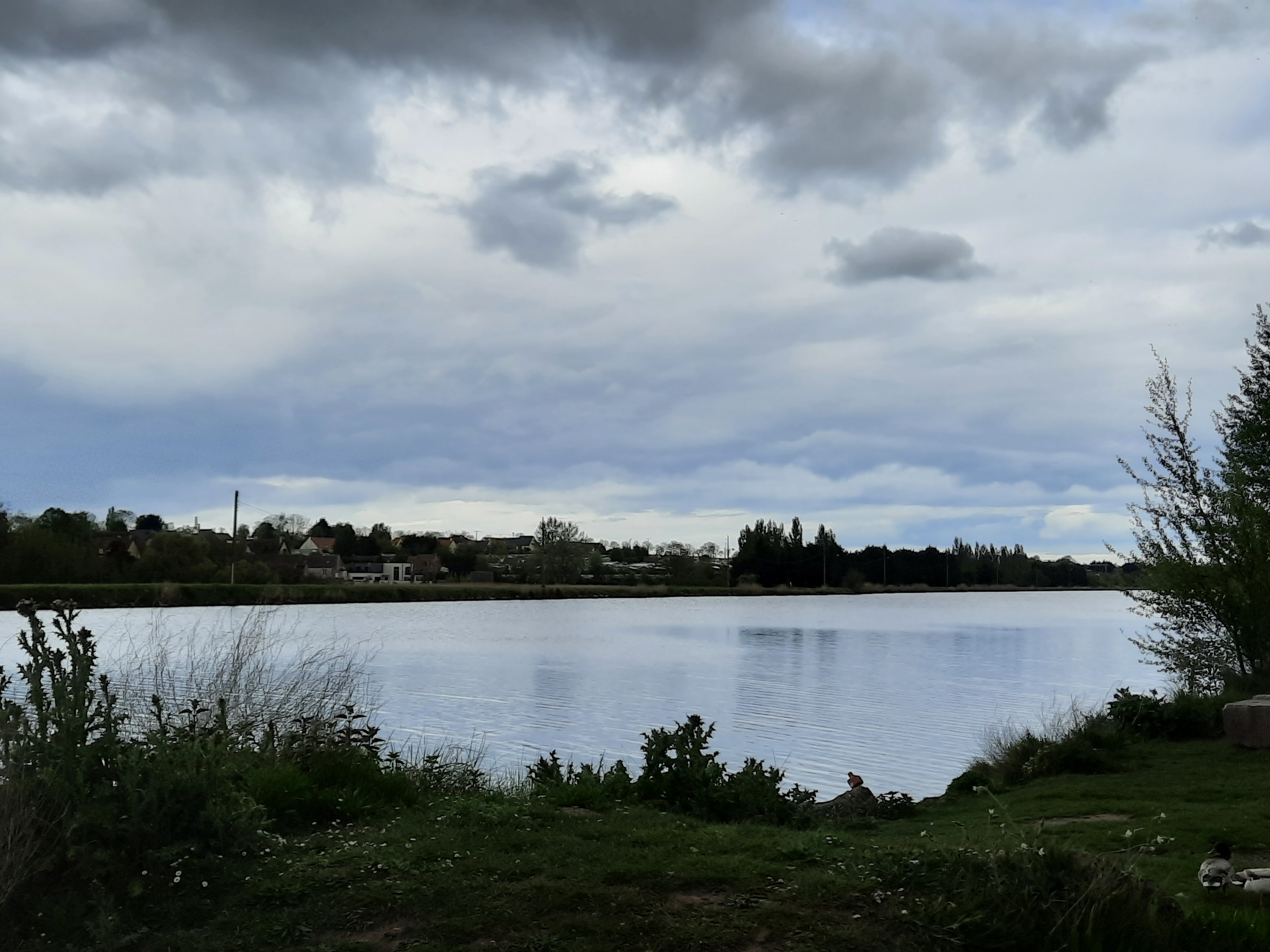 Photo n° 5 de l'avis de Sy.e fait le 14/05/2021 à 17:18