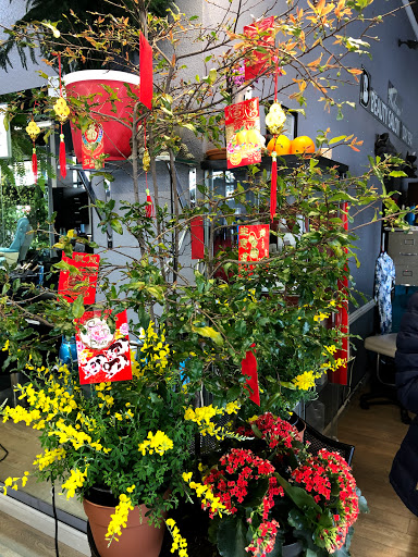 Beauty Salon «Beauty Salon & Day Spa», reviews and photos, 15100 Hesperian Blvd #102, San Leandro, CA 94578, USA