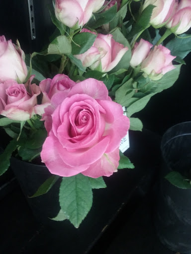 Florist «Bo-Ty Florist, Inc.», reviews and photos, 3002 Trenwest Dr, Winston-Salem, NC 27103, USA