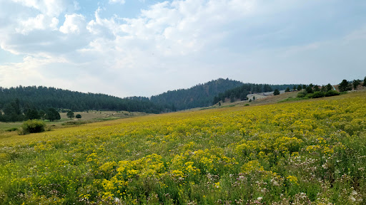 Golf Club «Shining Mountain Golf Course & Event Center», reviews and photos, 100 Shining Mountain Ln, Woodland Park, CO 80863, USA