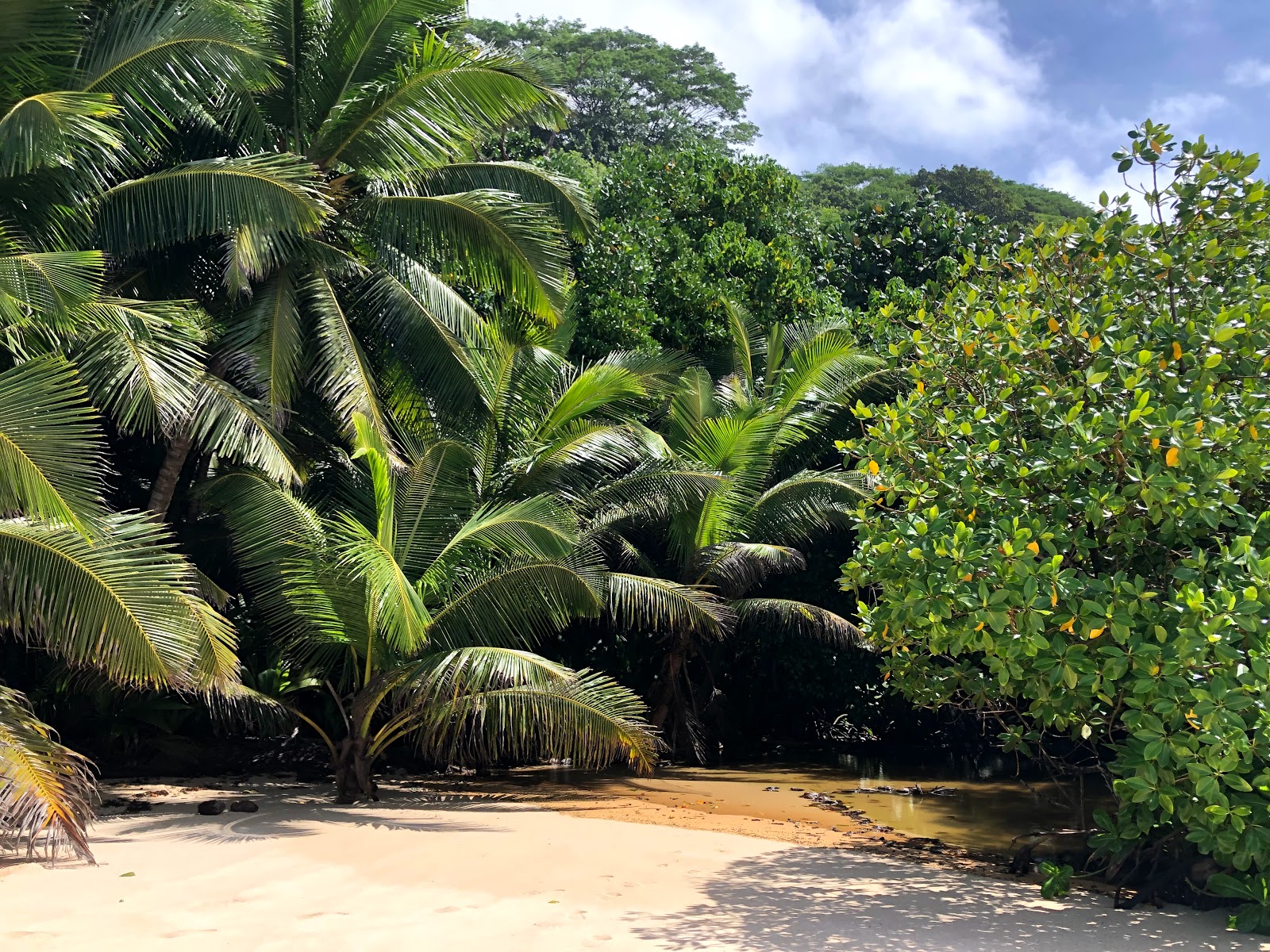 Foto de Anse Patates Beach com relativamente limpo nível de limpeza