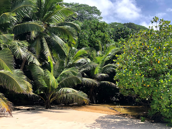 Anse Patates Beach