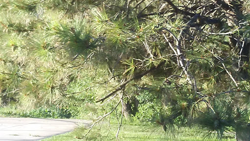 Park «Vermijo Park», reviews and photos, 2601 W Vermijo Ave, Colorado Springs, CO 80904, USA