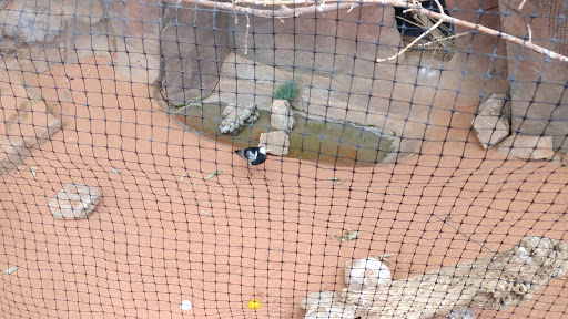 Zoo «Desert Dome & Kingdoms of the Night», reviews and photos, 3701 S 10th St, Omaha, NE 68108, USA