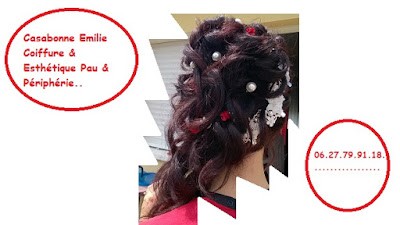 Coiffure à domicile et esthetique C.E à Pau