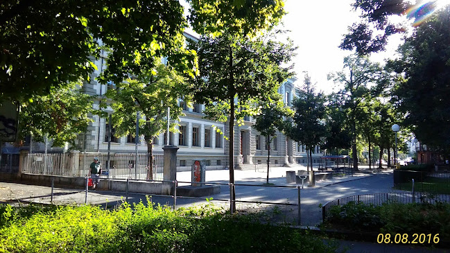 Rezensionen über Primarschule Bläsi in Basel - Schule