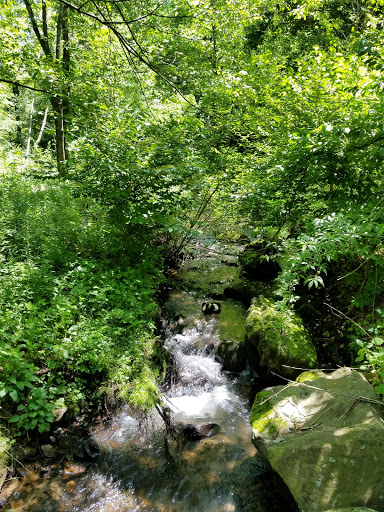 Gift Shop «Stonehedge Gardens», reviews and photos, 51 Dairy Rd, Tamaqua, PA 18252, USA