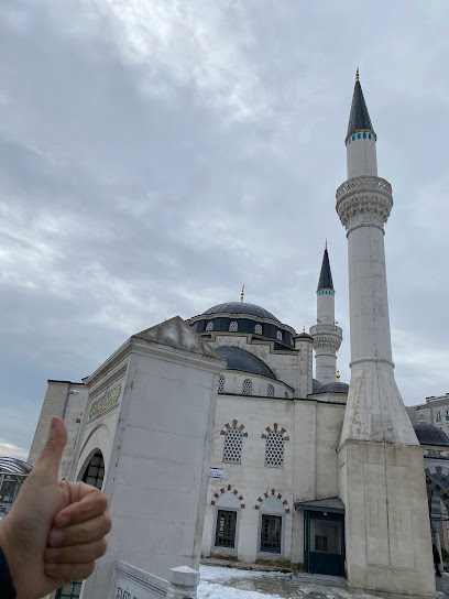 Emir Sultan Camii