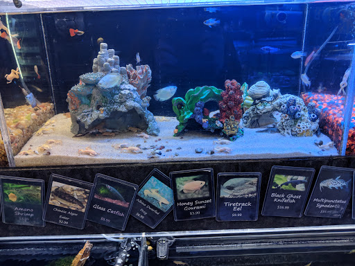 Tropical Fish Store «Aquatic Design», reviews and photos, 1629 N Central Expy, Plano, TX 75075, USA