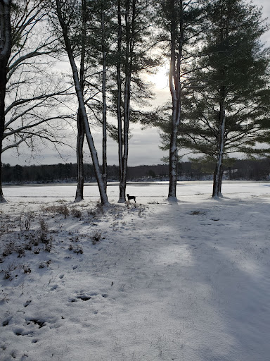 Golf Club «York Golf & Tennis Club», reviews and photos, 62 Organug Rd, York, ME 03909, USA