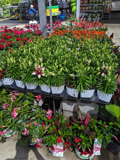 Home Improvement Store «The Home Depot», reviews and photos, 10151 Bloomingdale Ave, Riverview, FL 33569, USA