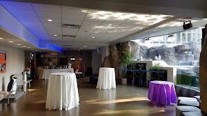 National Aviary - photo 49