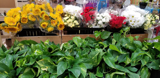 Health Food Store «Sprouts Farmers Market», reviews and photos, 7477 N Blackstone Ave, Fresno, CA 93720, USA