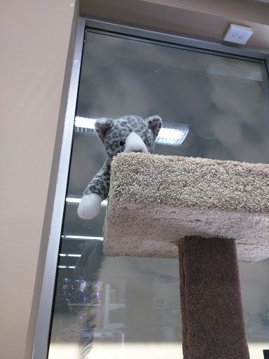 Pet Supply Store «Pet Pros», reviews and photos, 13402 Bothell Everett Hwy, Mill Creek, WA 98012, USA