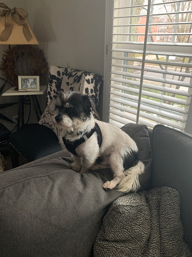 Bowling Alley «Lakeshore Lanes», reviews and photos, 31025 Jefferson Ave, St Clair Shores, MI 48082, USA