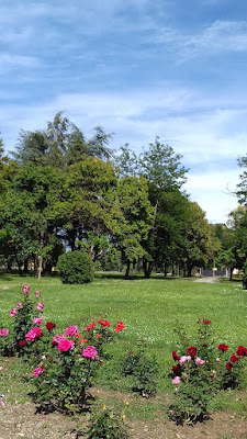 SCEA Le Chateau de Pianiccia à Tallone