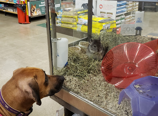 Pet Supply Store «Petco Animal Supplies», reviews and photos, 190 Quality Dr, Hooksett, NH 03106, USA