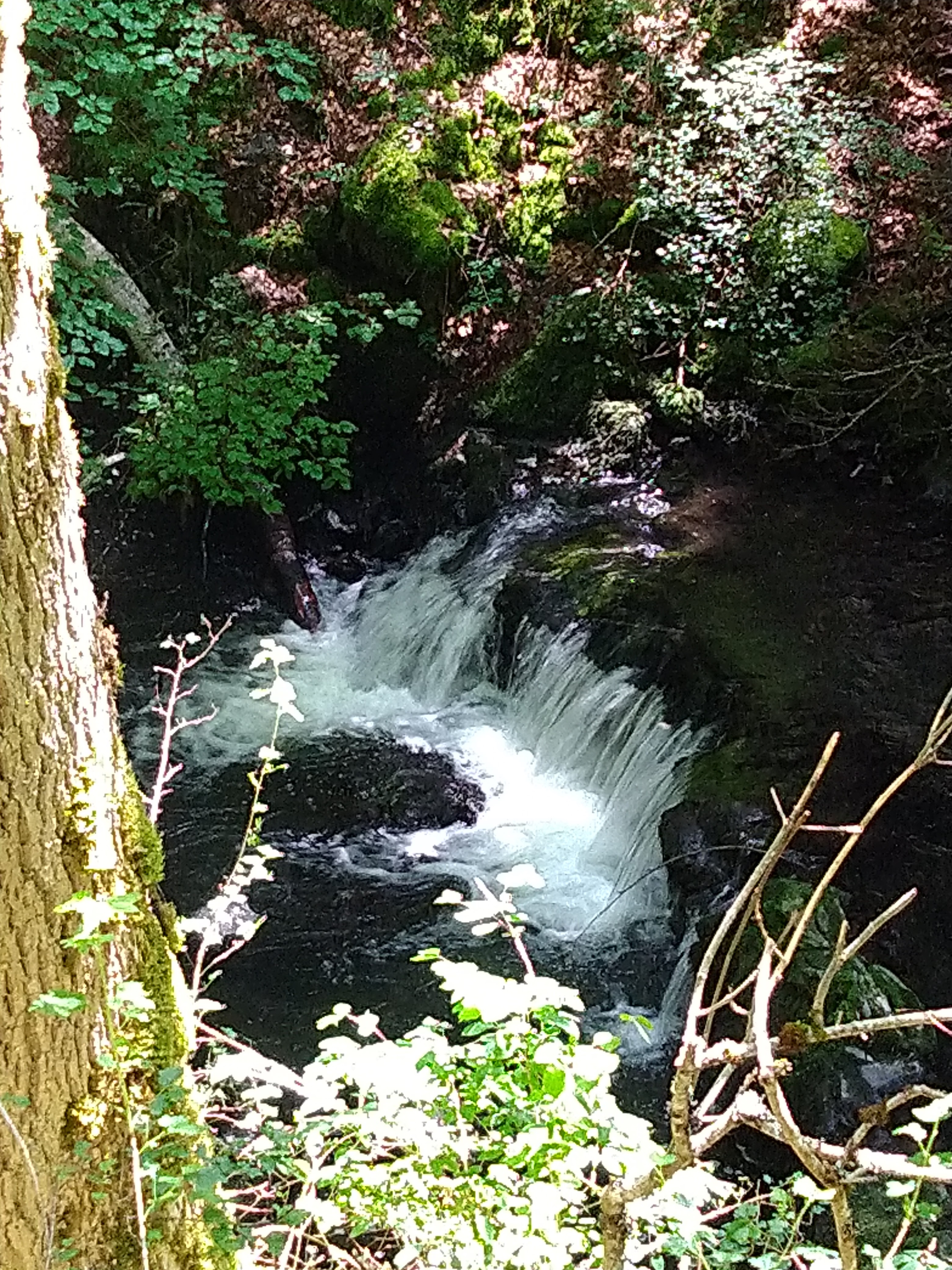 Photo n° 3 de l'avis de Francoise.e fait le 18/06/2021 à 13:16