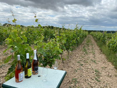 Domaine Brazilier à Thoré-la-Rochette