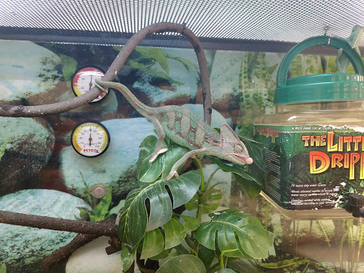 Pet Supply Store «Petco Animal Supplies», reviews and photos, 1919 El Camino Real, Mountain View, CA 94040, USA