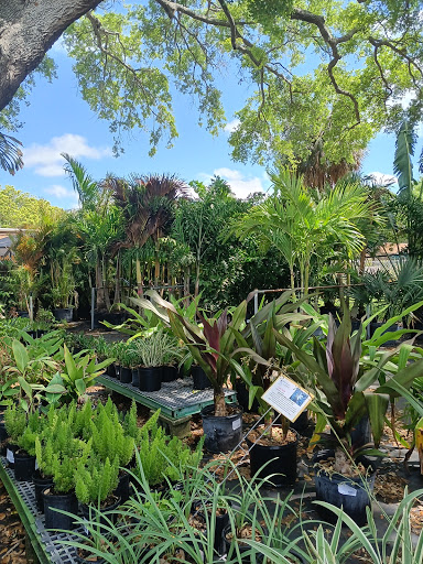 Plant Nursery «Wilcox Nursery», reviews and photos, 12501 Indian Rocks Rd, Largo, FL 33774, USA