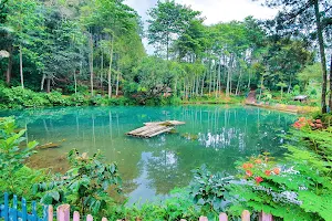 Danau Alam Lestari image
