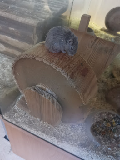 Der Zoofachmarkt Lehnhardt unter Aachen, 