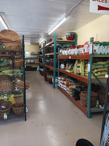 Plant Nursery «Wilcox Nursery», reviews and photos, 12501 Indian Rocks Rd, Largo, FL 33774, USA