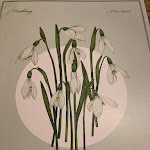 Photo n°4 de l'avis de Ulrike.l fait le 03/03/2023 à 13:25 sur le  Marktweib à Oberursel