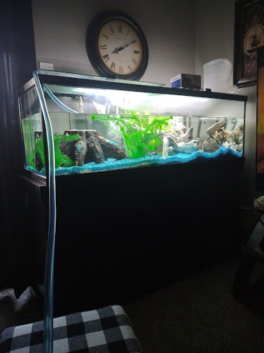 Pet Supply Store «PetSmart», reviews and photos, 1451 Dallas Hwy, Waxahachie, TX 75165, USA