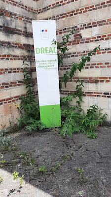 Direction régionale de l'environnement, de l'aménagement et du logement (DREAL) - Hauts-de-France - Site d'Amiens à Amiens
