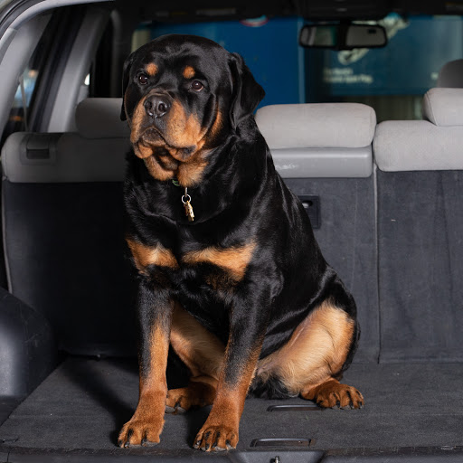 Auto Repair Shop «Precision Auto Repair», reviews and photos, 11110 61st St NE, Albertville, MN 55301, USA