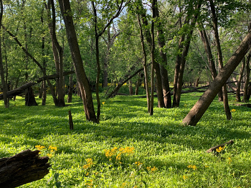 Learning Center «Trailside Museum of Natural History», reviews and photos, 738 Thatcher Ave, River Forest, IL 60305, USA