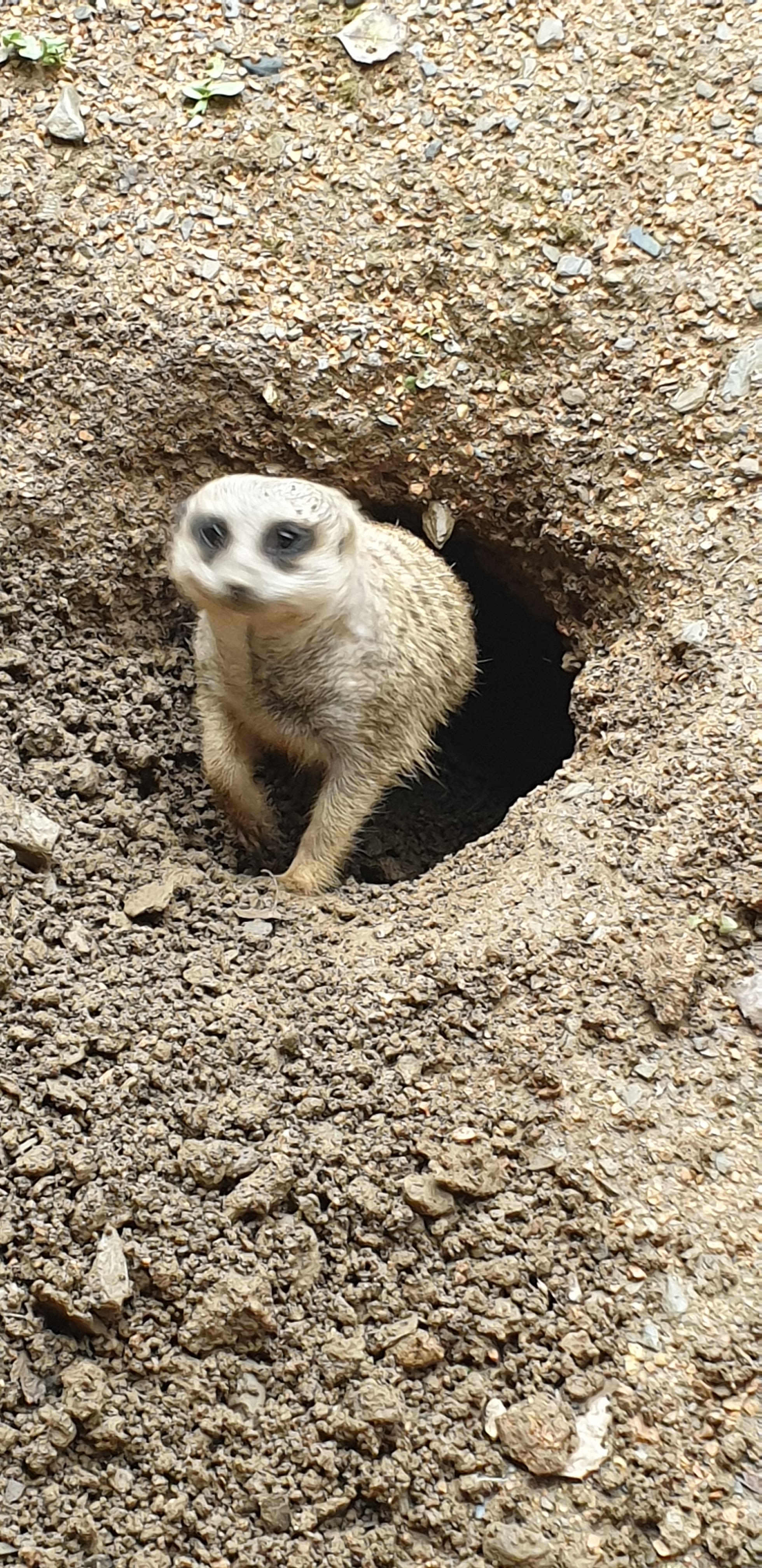 Photo n° 4 de l'avis de Maïwenn.E fait le 01/11/2023 à 12:52