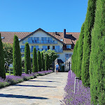 Photo n°2 de l'avis de Didier.e fait le 28/06/2022 à 21:17 sur le  Hotel Gierer à Wasserburg am Bodensee