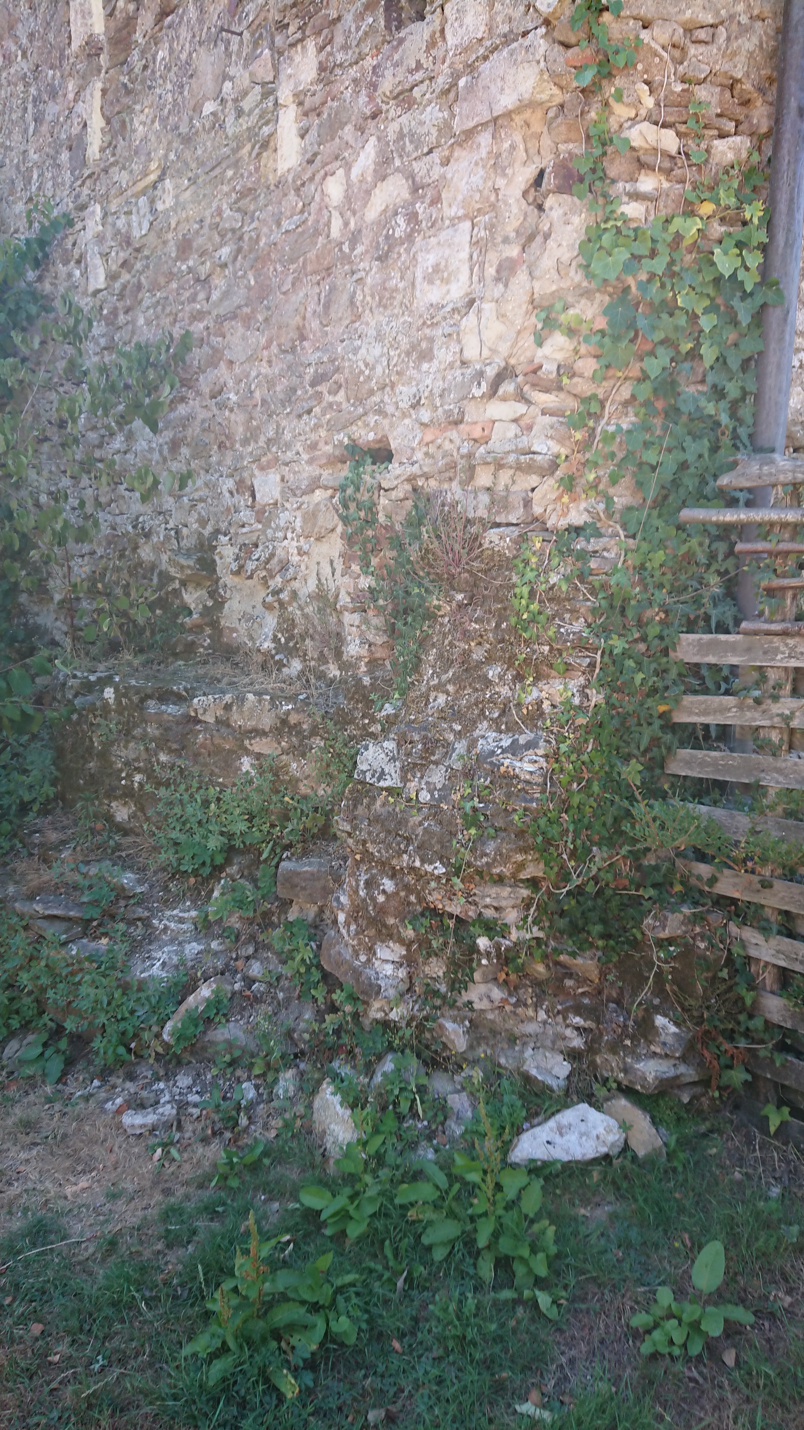 Photo n° 14 de l'avis de Franck.L fait le 09/08/2022 à 16:01