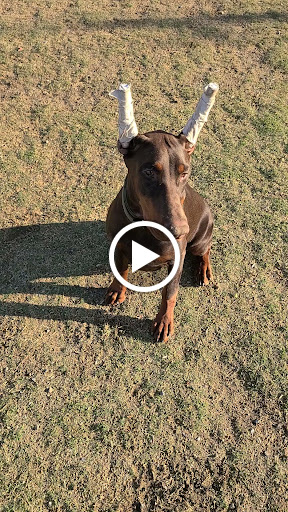 Park «Centennial Hills Park», reviews and photos, 7101 N Buffalo Dr, Las Vegas, NV 89131, USA