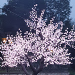 Photo n°4 de l'avis de E. fait le 04/08/2020 à 21:18 sur le  Hotel La Bocchetta à Lusiana Conco