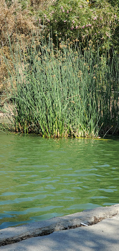 Nature Preserve «Mary Vagle Nature Center», reviews and photos, 11501 Cypress Ave E, Fontana, CA 92337, USA