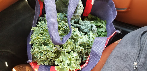 Growing Grounds Farm Santa Maria image