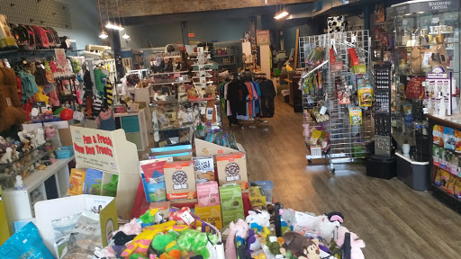 Pet Supply Store «Dog-Mania & Cats», reviews and photos, 37846 Meridian Ave, Dade City, FL 33525, USA