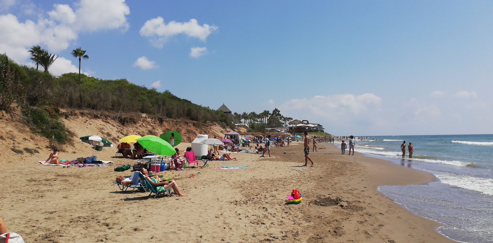 Foto af Playa de la Vibora med grønt vand overflade