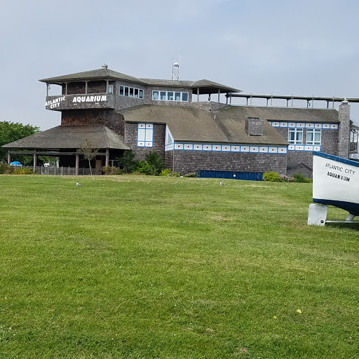 Aquarium «Atlantic City Aquarium», reviews and photos, 800 N New Hampshire Ave, Atlantic City, NJ 08401, USA