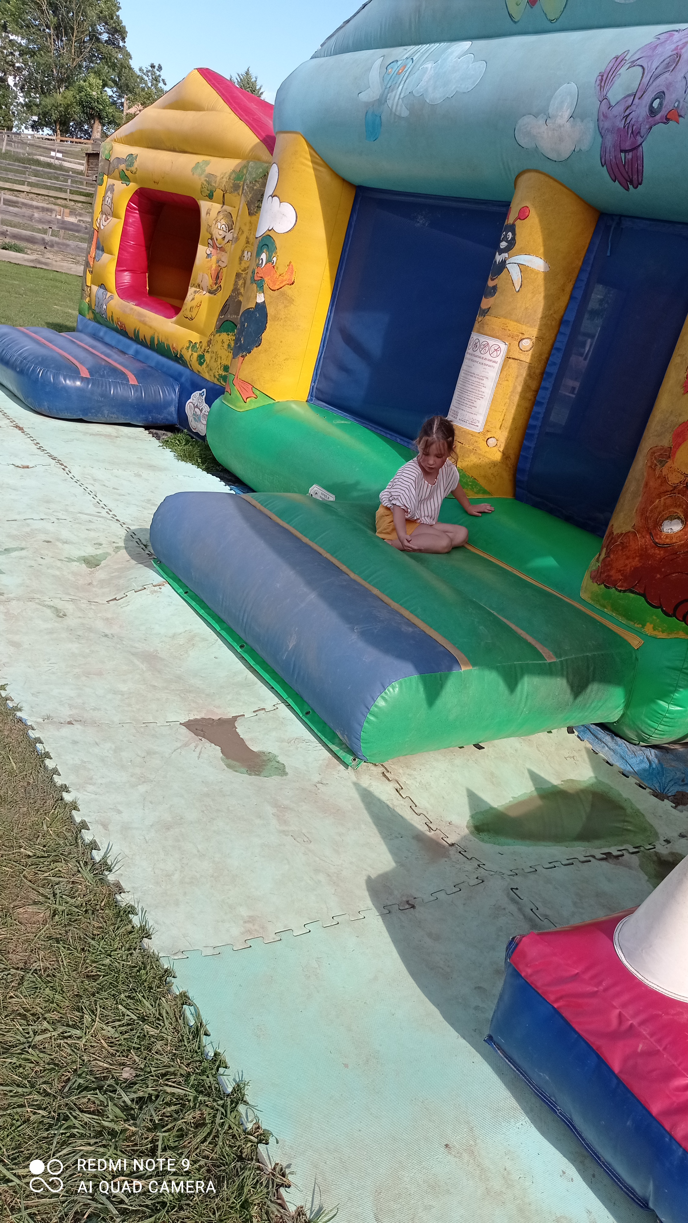 Photo n° 1 de l'avis de Domie.e fait le 07/08/2021 à 20:57